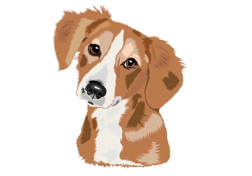 Dog photo to vector conversion after