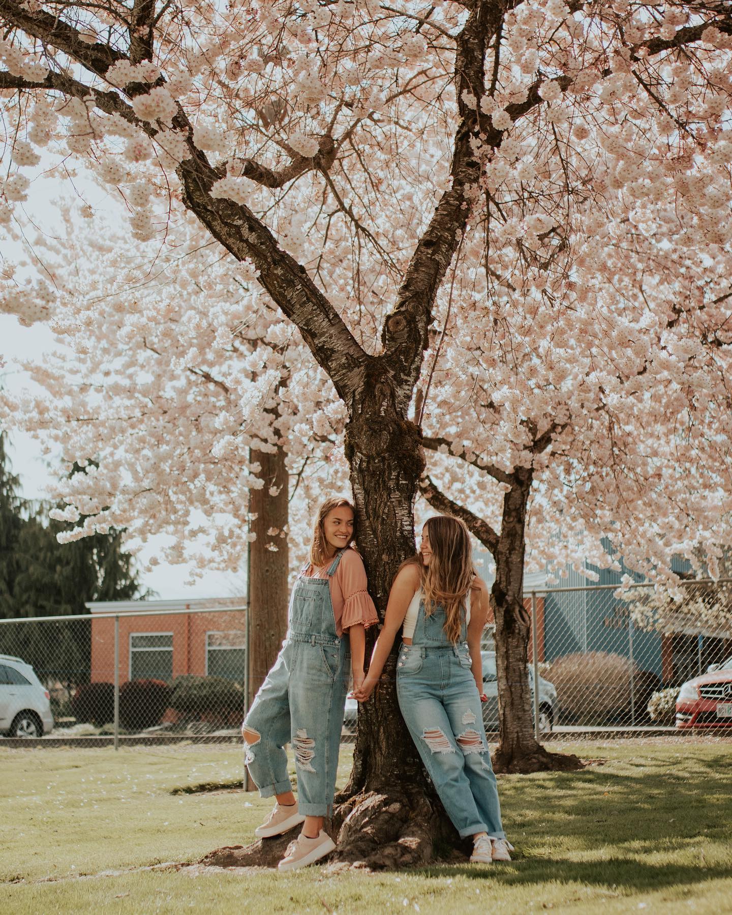 under a beautiful tree