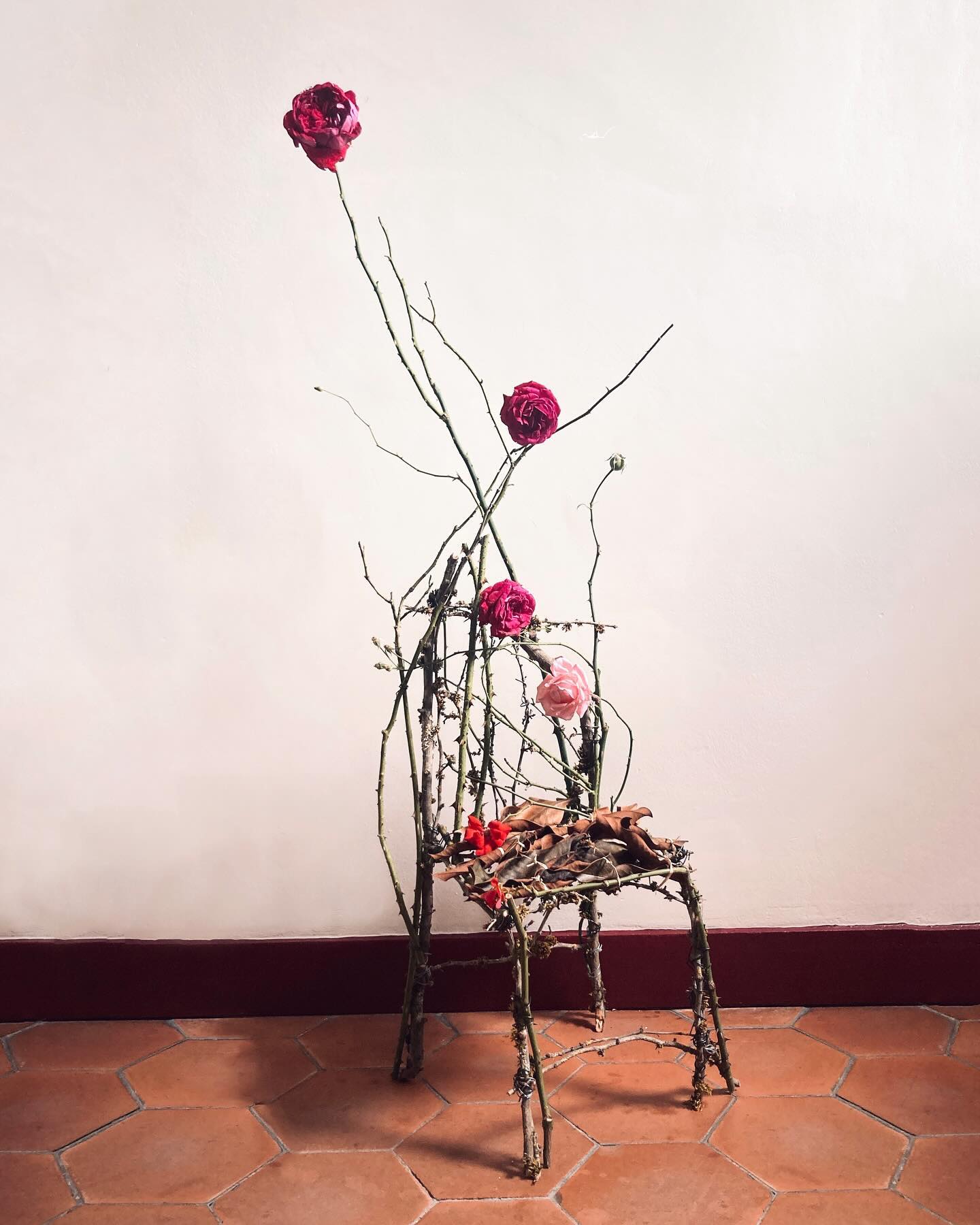  Sculptural Style Still Life Photography