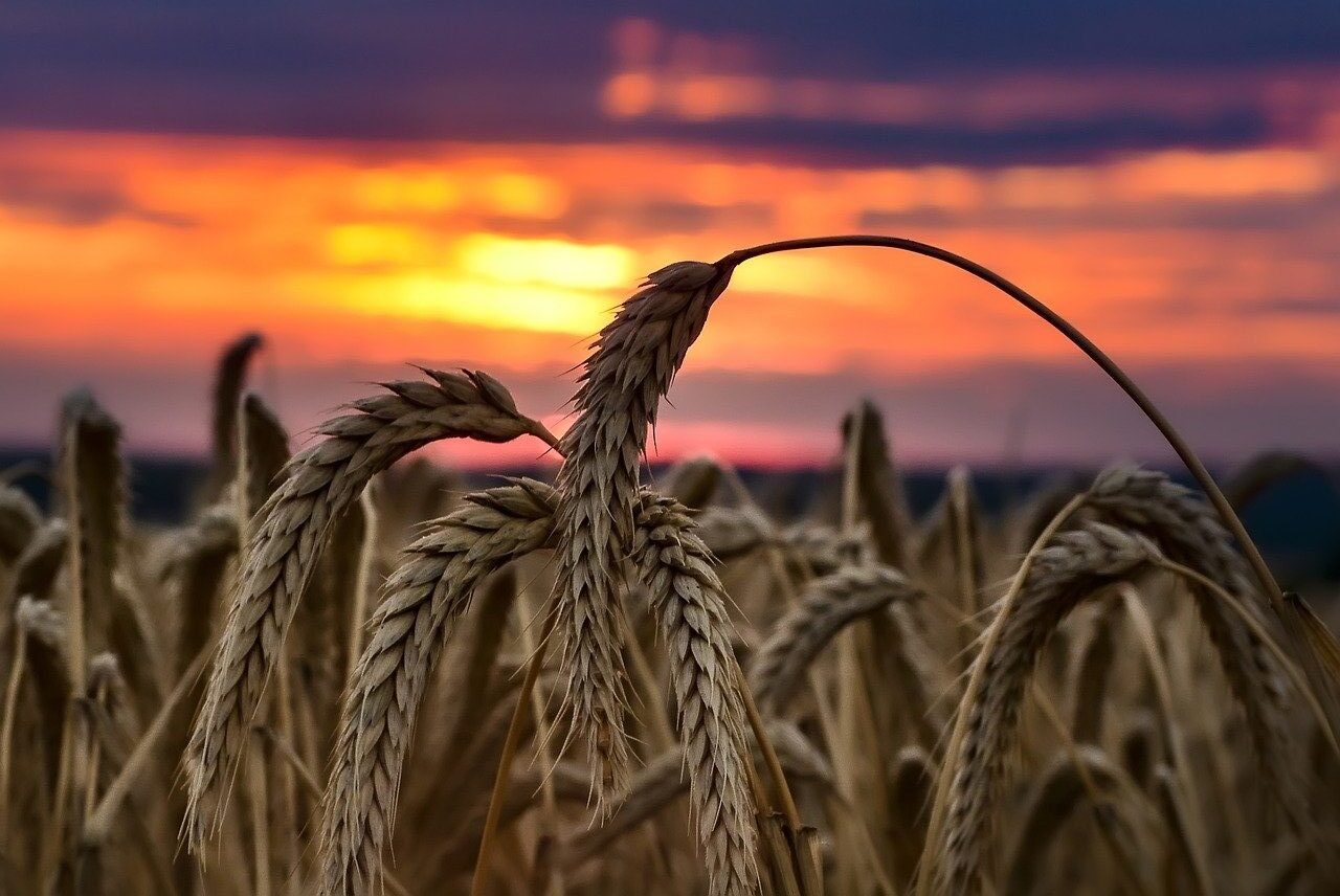 Best time of day for outdoor photography