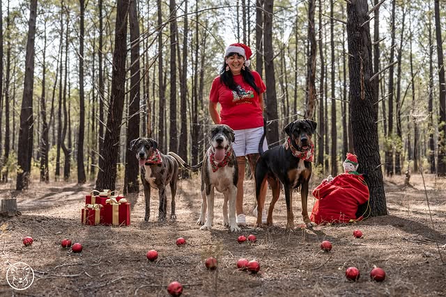 Christmas Woodland Portraits