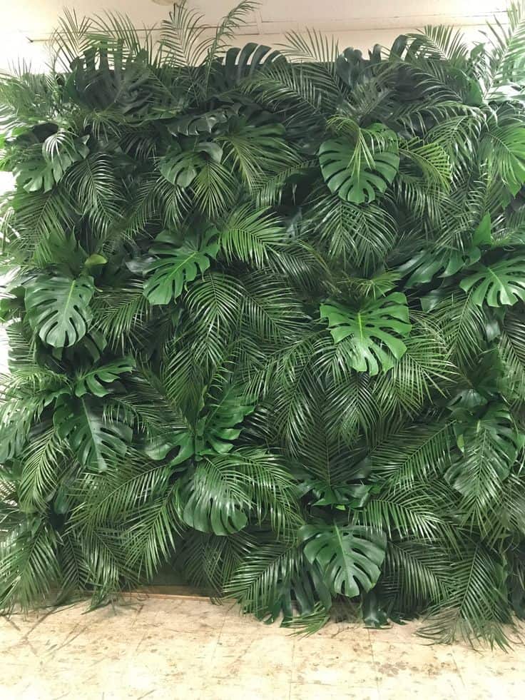 Tropical Palm Leaf Wall