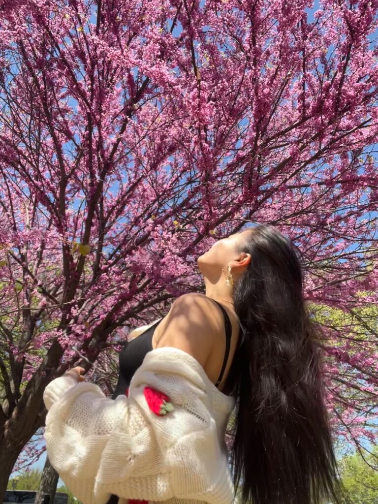 cherry blossom photo ideas