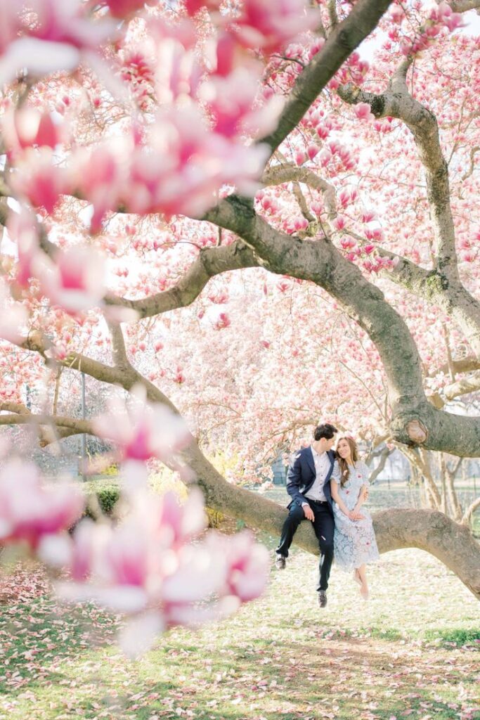 cherry blossom photo ideas