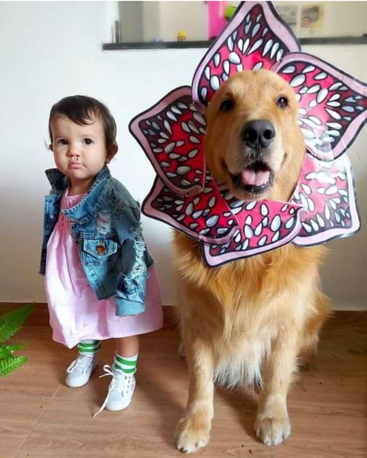 baby halloween photo ideas