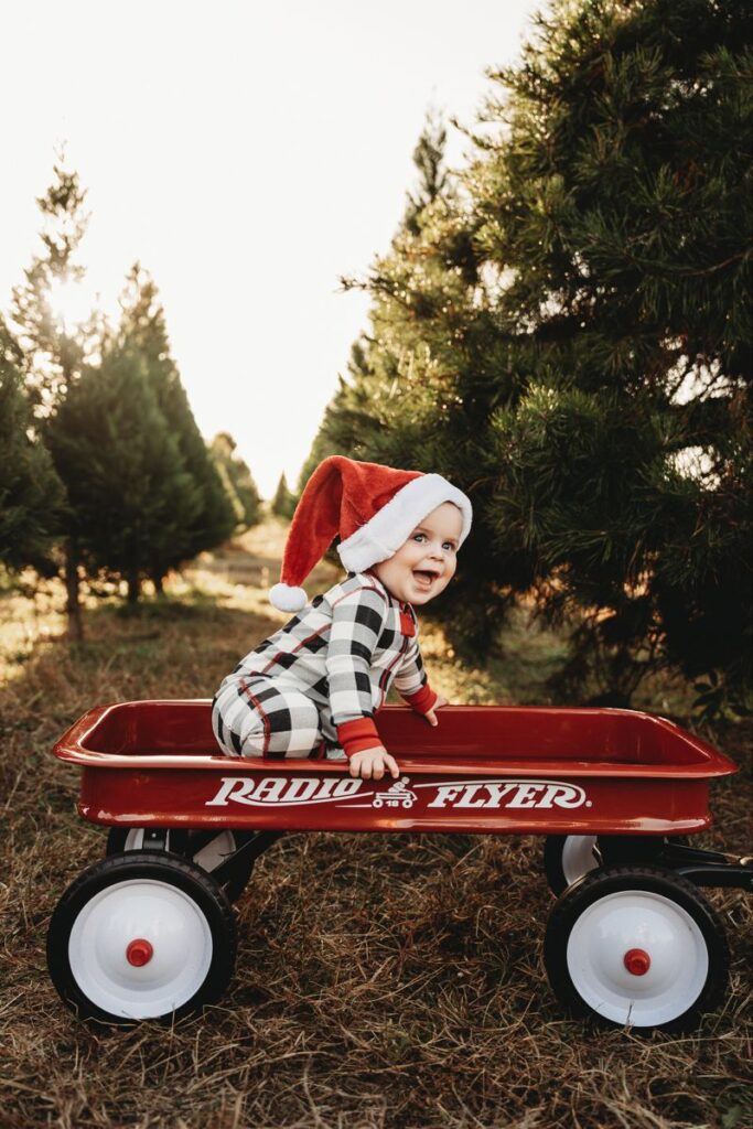 baby christmas card photo ideas baby christmas card photo ideas