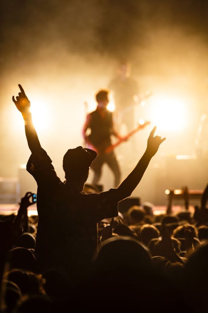 concert photo ideas