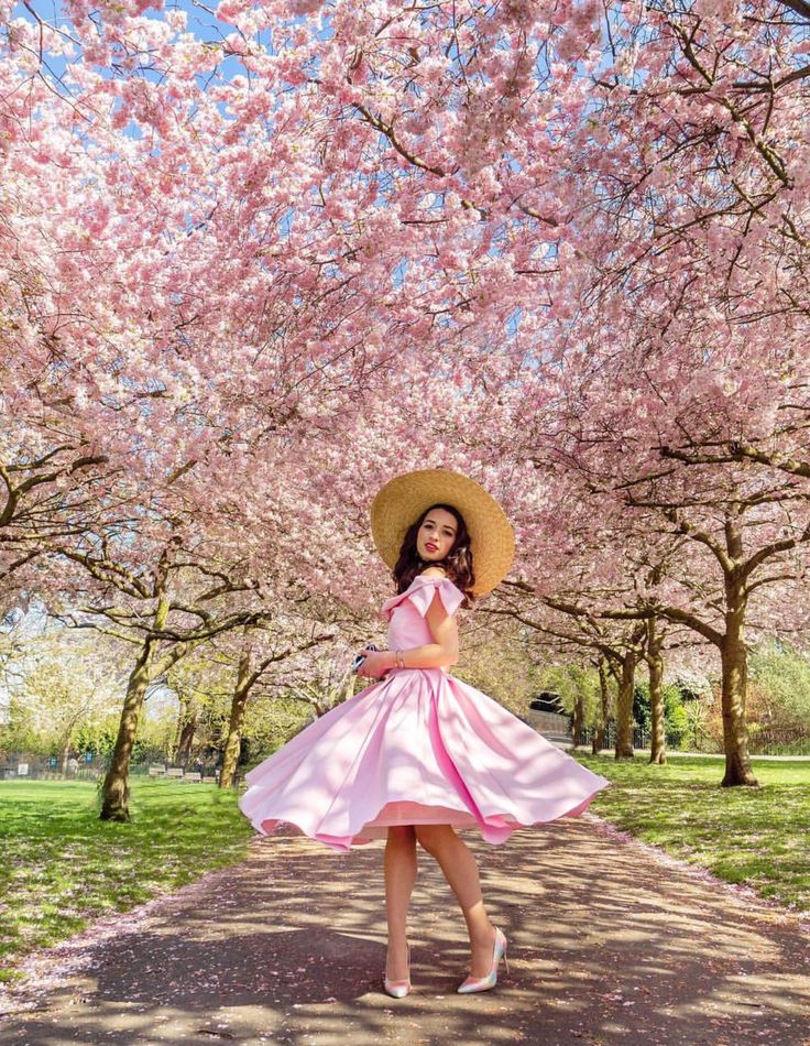 cherry blossom photo ideas