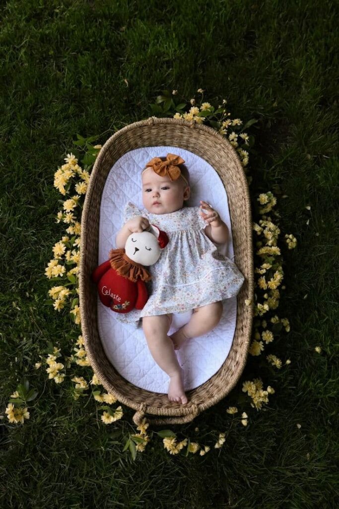baby in a basket photo ideas