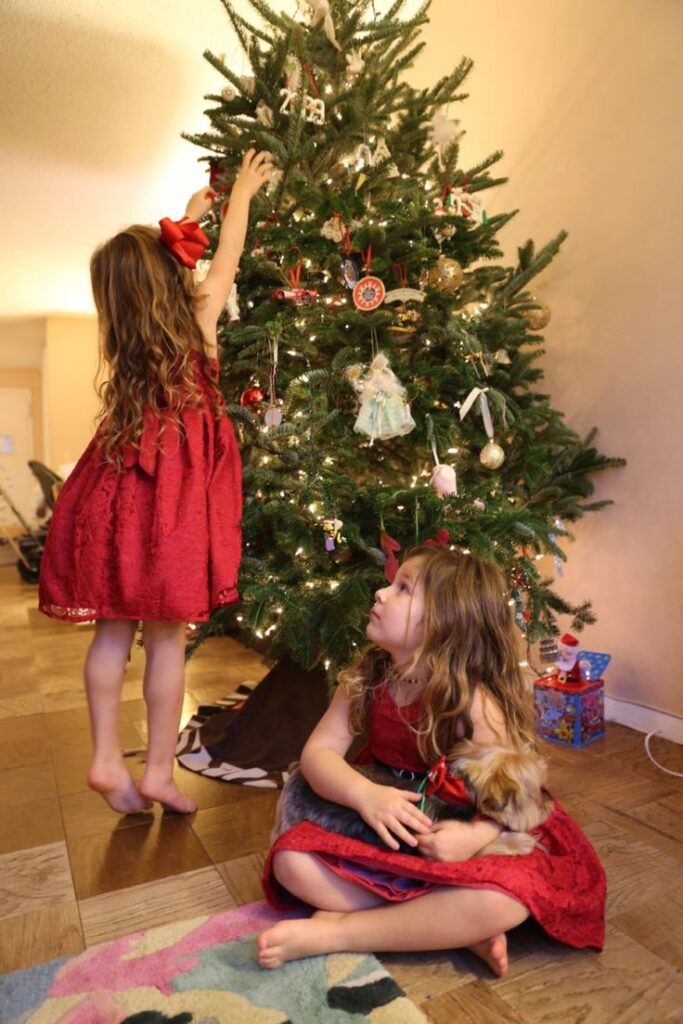 creative sibling christmas photo ideas creative sibling christmas photo ideas