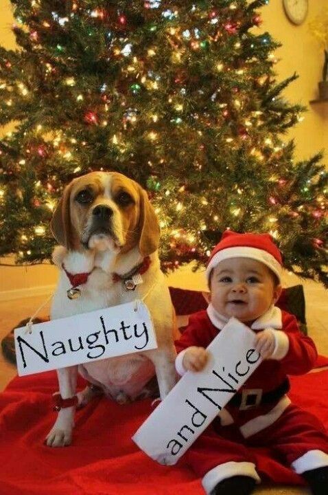 baby christmas card photo ideas baby christmas card photo ideas