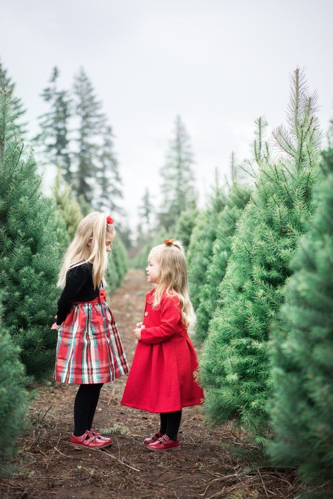creative sibling christmas photo ideas creative sibling christmas photo ideas