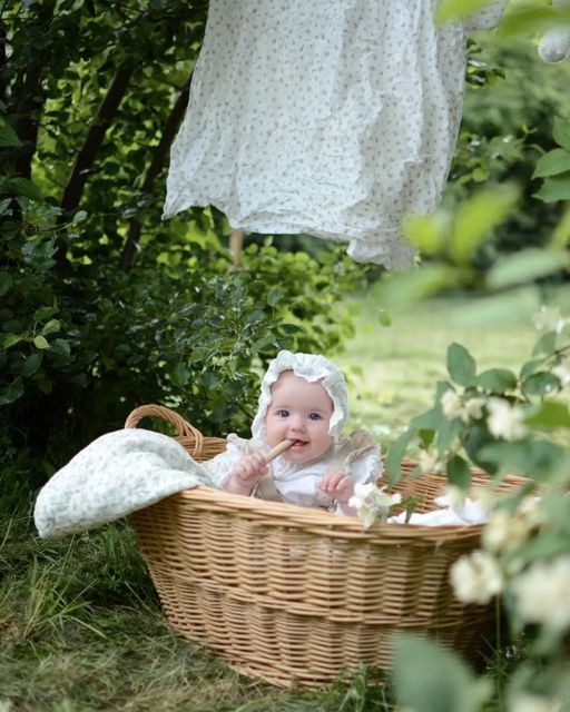 baby in a basket photo ideas