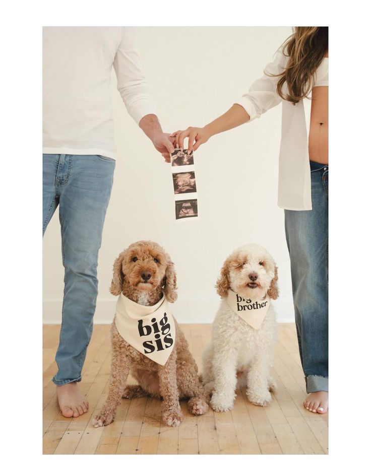 baby announcement photo ideas baby announcement photo ideas