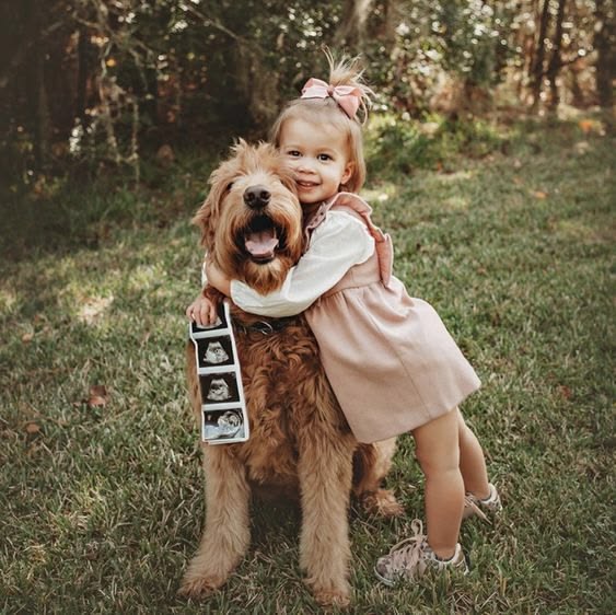 big sister announcement photo ideas