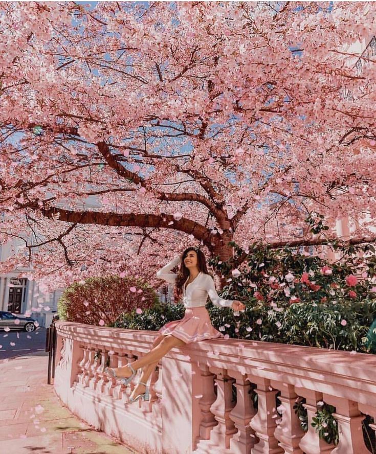 cherry blossom photo ideas