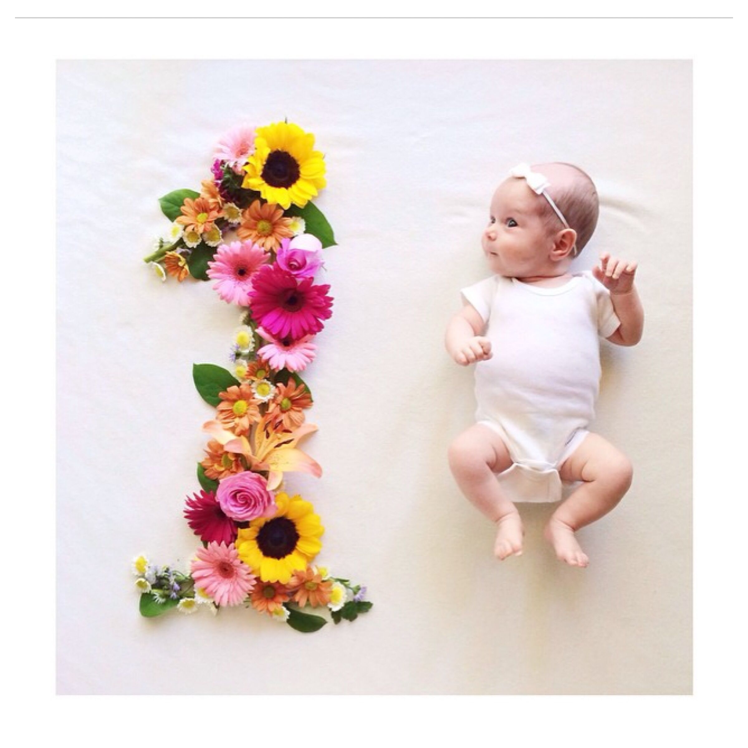 1 to 12 month baby photo ideas girl