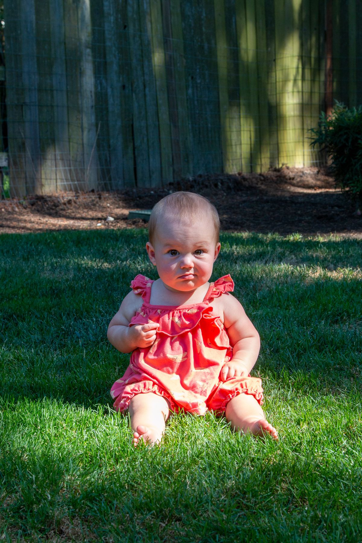 Month 6: Sitting Up Solo - baby photography idea