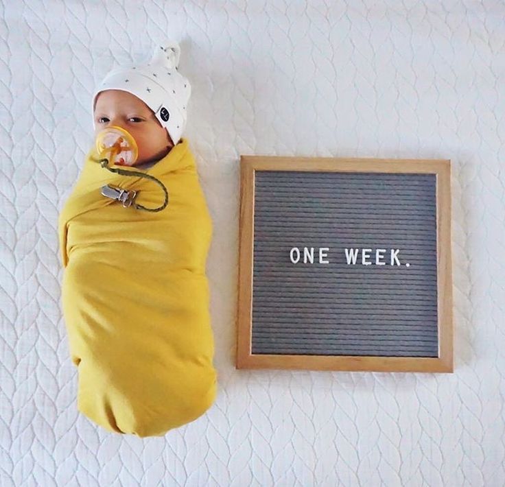 1 to 12 month baby boy photo ideas