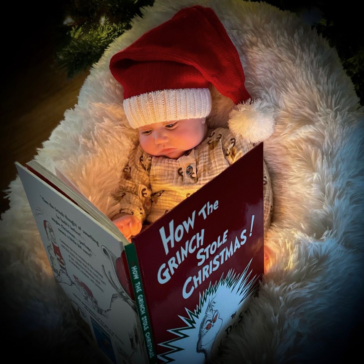 christmas theme baby photoshoot