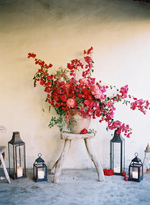 flowers photography