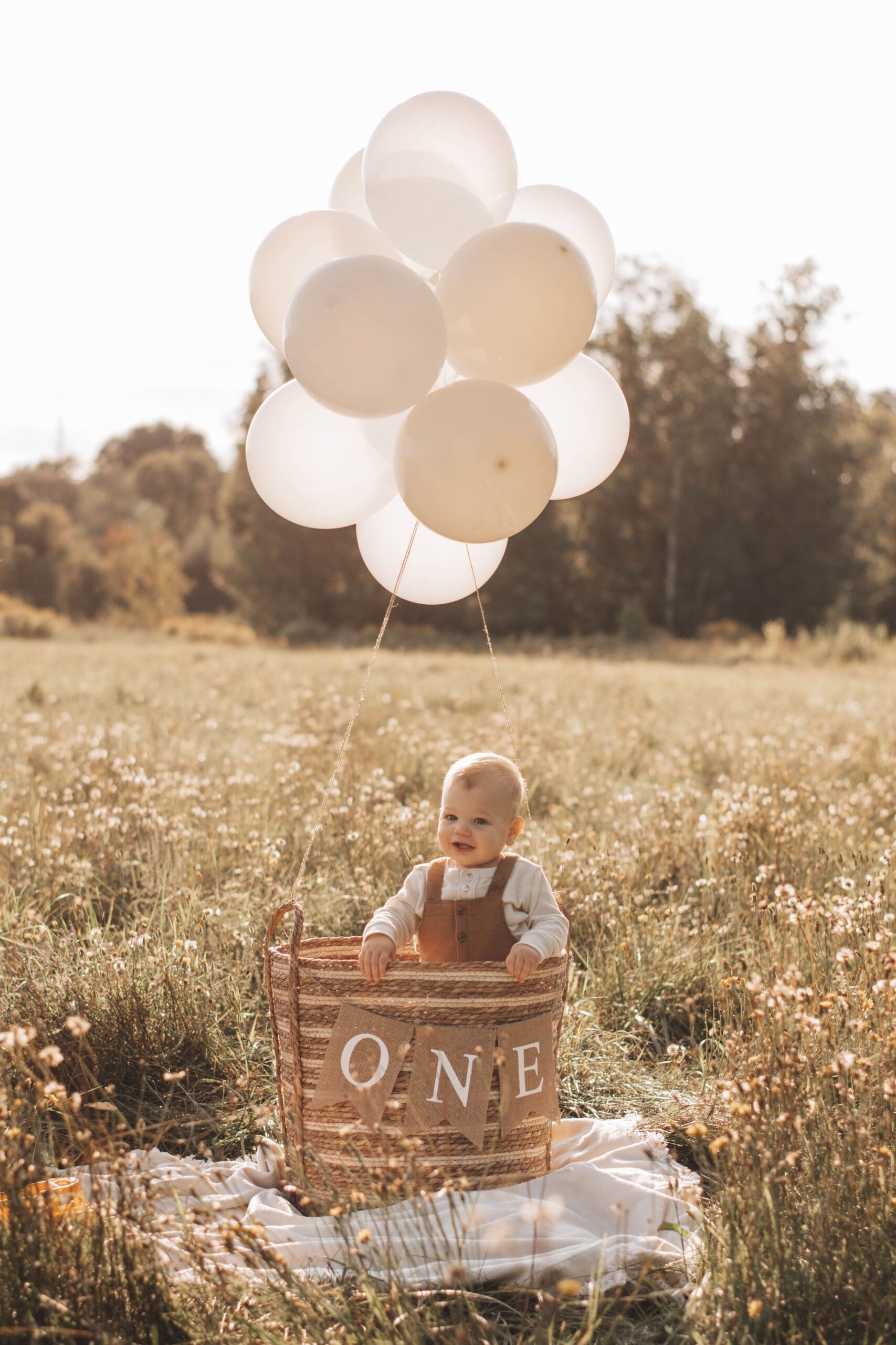 monthly milestone ideas for baby boy